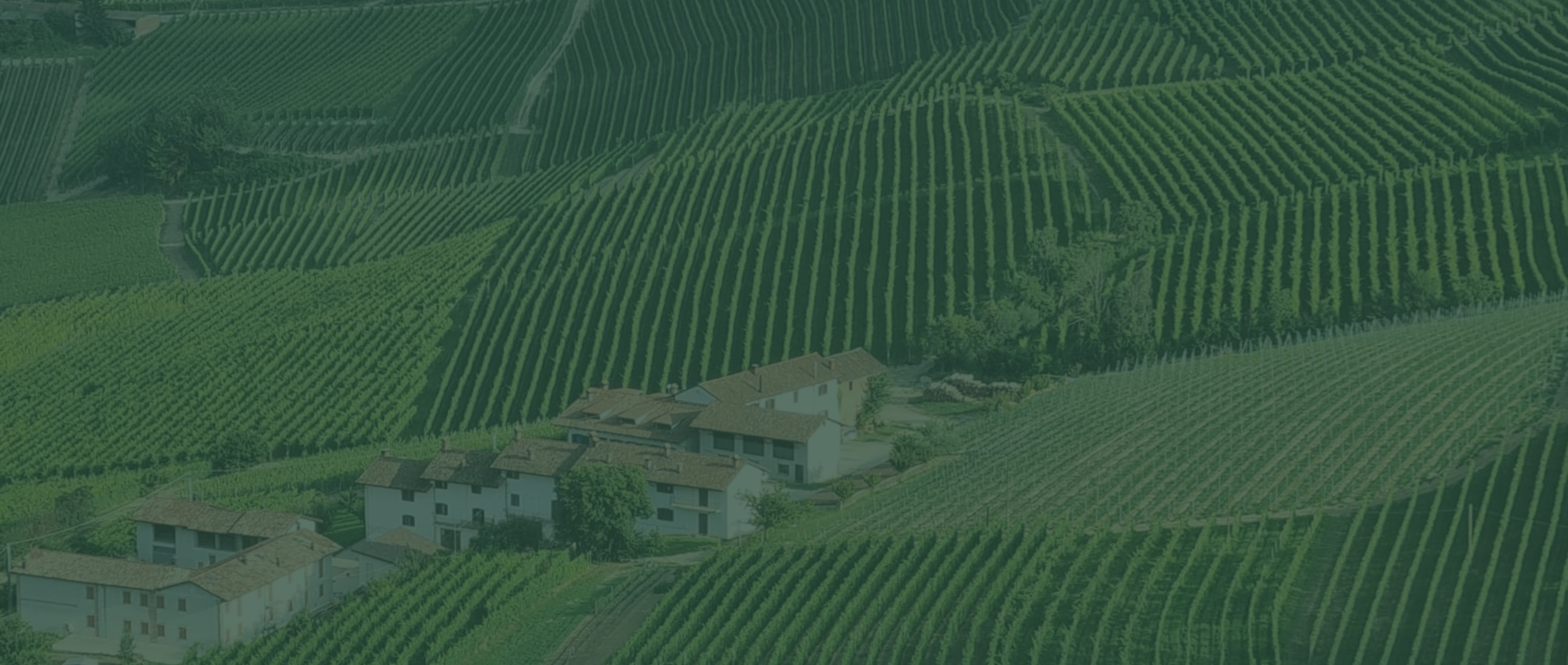 test-bg-home-003